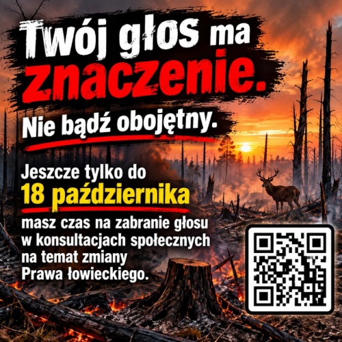 ankieta.jpg